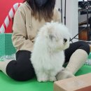 므므스튜디오 이미지