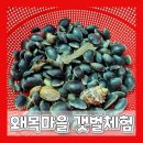 세븐일레븐 당진채운점 | 당진 왜목마을 해수욕장 갯벌체험 후기(물때 보는법/장비대여/샤워장)