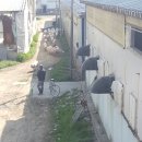 성림축산 이미지