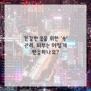 내몸사랑피부관리