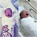 의식의 흐름 | 목포 미즈아이 제왕절개&amp;입원 의식의 흐름대로 쓰는 후기