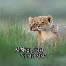 짜장세상 이미지