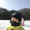 소노펠리체 컨트리클럽 비발디파크 이미지