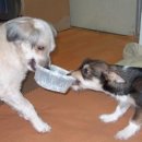 대오농장 이미지