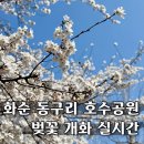 동구리호수공원잔디광장 이미지
