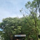 대전 계족산 황톳길, 아이와 함께 황토길 걷기 후기