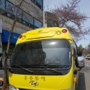 세이프오토 이미지