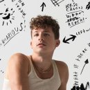 Charlie Puth - I Don't Think That I Like Her 이미지