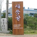 세종골