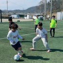 빅토리태권도 이미지