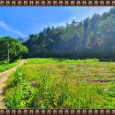 산골쉼터민박 이미지