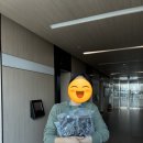 5월 첫째주의 근황