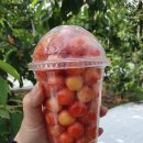 혜원농장 이미지