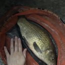 호암낚시터 이미지