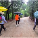 동산2교 - 양양군 | 동산2교