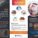 선양돼지 이미지