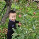 YMCA어린이집 이미지