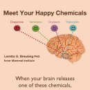 행복과 관련된 화학물질들(도파민,세로토닌,오시토신,엔도르핀) 이미지