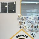 한지붕개가족 | 경기광주애견미용 잘하는 곳 한지붕개가족 가위컷 하이바 노견미용