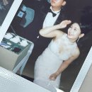 샤론  꽃  화원 이미지