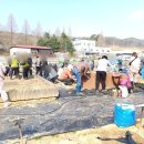 치마골농장 | 천안 도시농부학교 9기 4주 차 수업 후기, 주말농장, 텃밭농사, 직접 농사, 채소 농사, 귀농 준비, 도시...