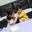 풀잎약국 Daum카페