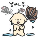 보스턴&777보스턴&트리플세븐 이미지