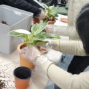 실내식물관리사 2급 자격증 과정 이미지