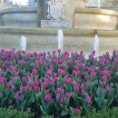 공원플라워 이미지