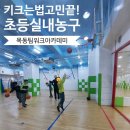 현무태권도아카데미 | 목동 농구교실, 초3부터 키 크는 운동 시작, 팀워크스포츠아카데미(목동스포츠센터)