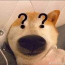 브릭(BRICK) 이미지