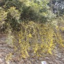 인헌초등학교 앞 이미지