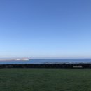 원앤온리 이미지