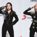 다미컴퍼니 노컷뉴스