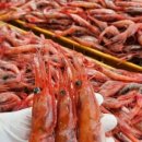 특별한농수산