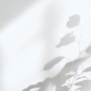 럭키에이트
