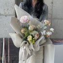 꼬모플레리 이미지