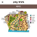 금관숲 캠핑장 A-9 후기 / 청주 근교 캠핑장 추천
