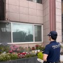 "청결하게" 대전 방역업체 중 만족도가 달랐던 곳 후기