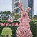 부산 빌라쥬드 아난티 이상한 나라의 앨리스 핑크토끼 전시 위치