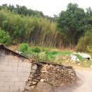 해성 종합건축사사무소 이미지