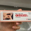 포니하우스 이미지