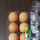 일심농장 이미지