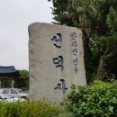쌍계암 묘법연화경 | #한국의 자연산 이끼정원 제주 서귀포 한라산선돌 선덕사 #금강석