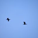 사창해수욕장 이미지