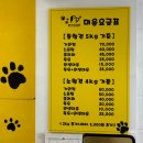 망쿠애견샵 이미지