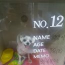 웅상동물병원 이미지