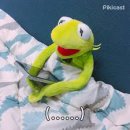 찰리스 네이버블로그