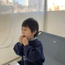 지지 아일랜드 바베큐 캠핑