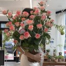 로즈플래닛 이미지